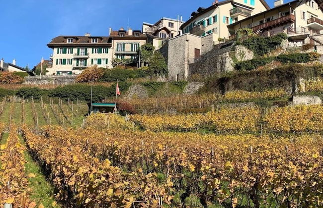 La Vigneronne, Tuin - Foto 1