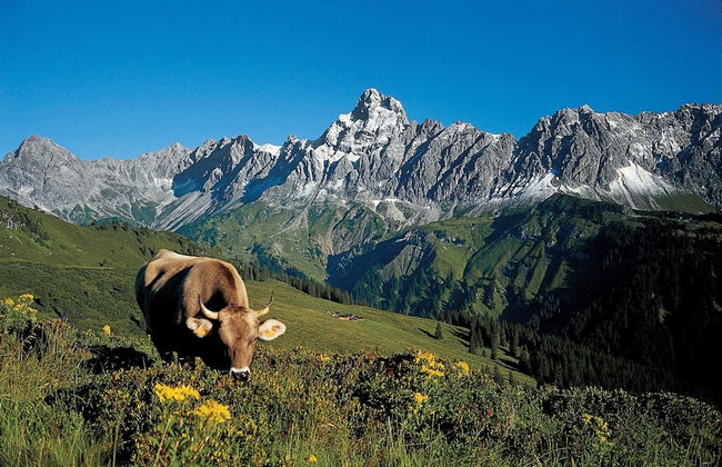 Graceful Chalet in Gaschurn With Sauna - Foto 78