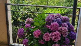 la casa di Martina - Foto 2