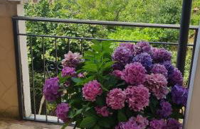 la casa di Martina - Foto 2