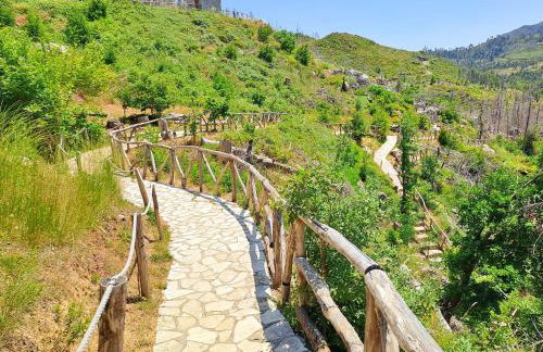 Timber Dream - Photo 32