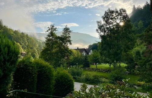 Ferienhaus Oesterle - Idyllisches Schwarzwaldhaus am Bach mit Terrasse & Balkon - Foto 31