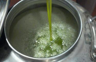 Agriturismo Podere Tegline - Foto 42