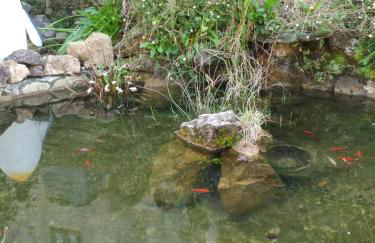 Casa Rustica Isabel VT PO 00166 - Foto 39