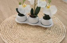 Appartement T2 centre ville Île Rousse - Foto 11