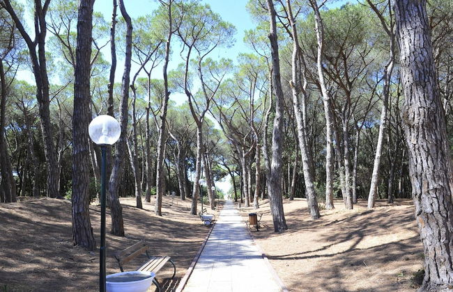 New Apartment in Baia Domzia Near the sea - Photo 27