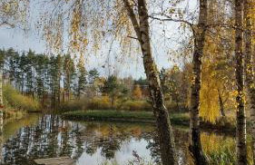 Domek Letniskowy ZŁOTY KARAŚ - Foto 26