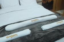 Origens - Alojamento Local - Foto 15