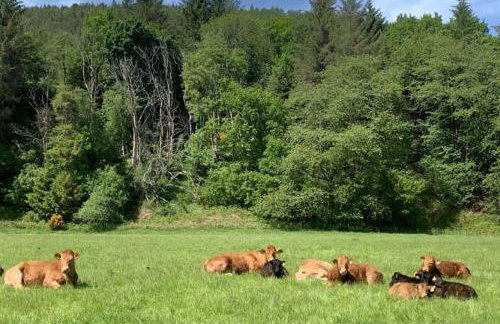 Garbity Farmhouse - beautiful 6-bedroom Farmhouse with open fires - Foto 15