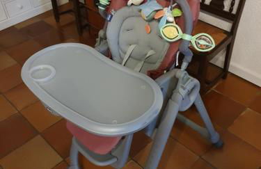 Vitis Vinifera - Foto 6