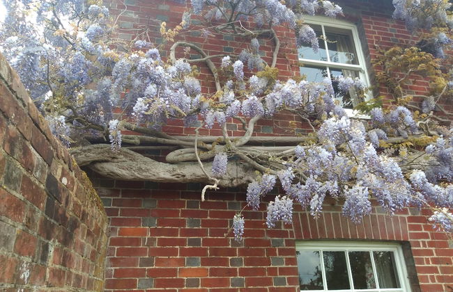 Bridge Farmhouse - Foto 49