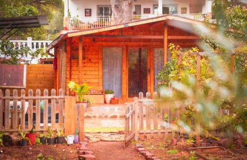 Cabaña madera en bosque 100 ECO - Foto 36