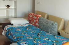 Camino de la Sierra Parking y Mascotas - Foto 15