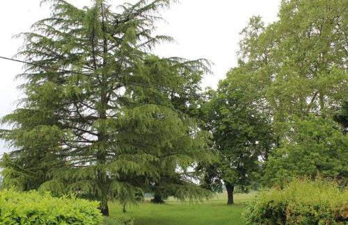 Maison familiale isolée 4 chambres à la campagne d'Eymet - FR-1-616-30 - Foto 5