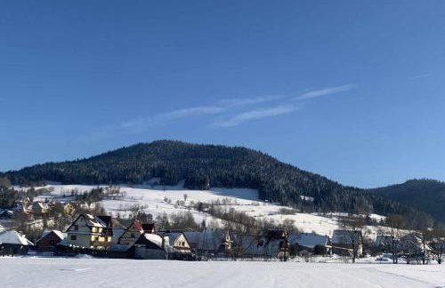 PrzyStań w Gorcach - Photo 38