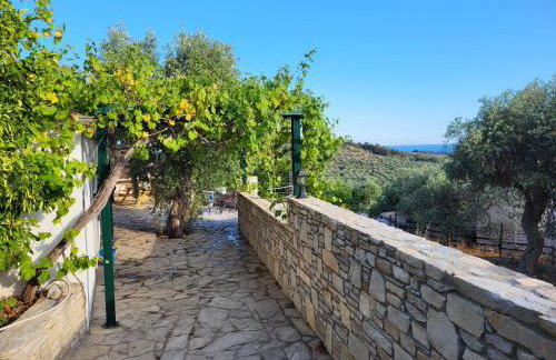 Villa Kaliva Family house - Foto 5