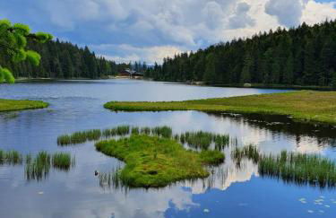 Ferienhof Hofmann - Foto 23