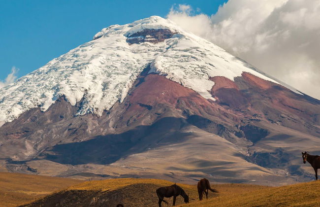 Cotopaxi & Quilotoa Viewpoint Day Trip - Photo 8