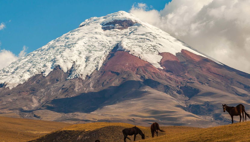 Cotopaxi & Quilotoa Viewpoint Day Trip - Foto 3