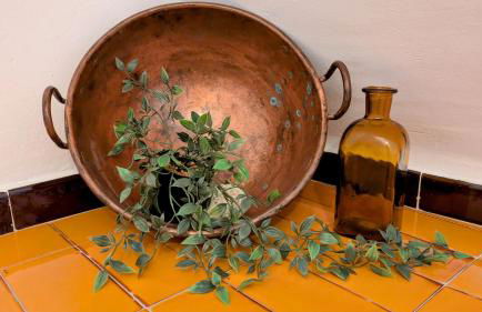 Un racò a L'Alt Empordà - Foto 16