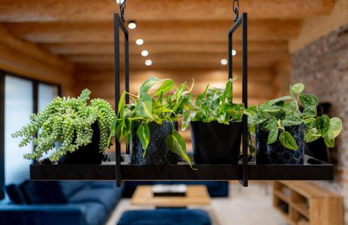 Międzybrodzie Bialskie Apartamenty Nowy Świat - Foto 30