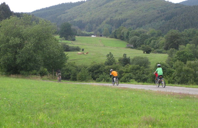 Gruppenfreundliche Villa in Liesen - Foto 33