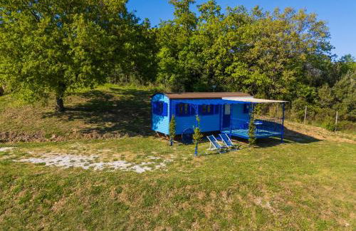 Poggio Diavolino - Suvereto - Foto 27