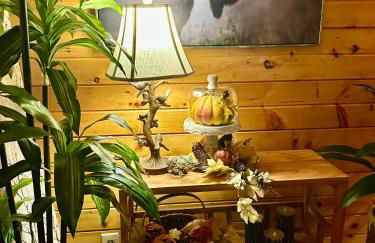 Cozy Cabin in Red River Gorge - Foto 24