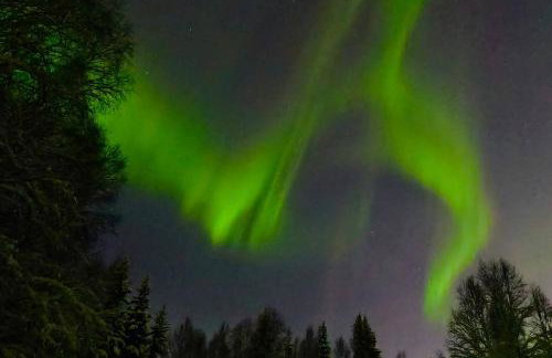 Northern Lights Log House w/ Sauna - Foto 61