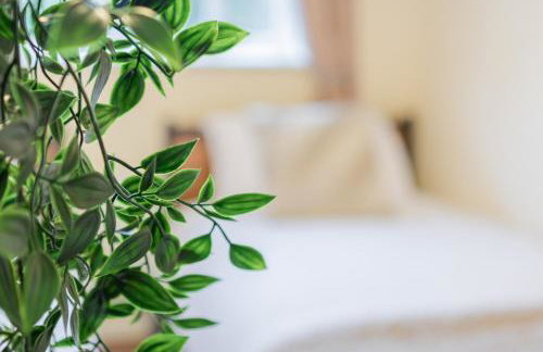 Mariner House - Photo 26