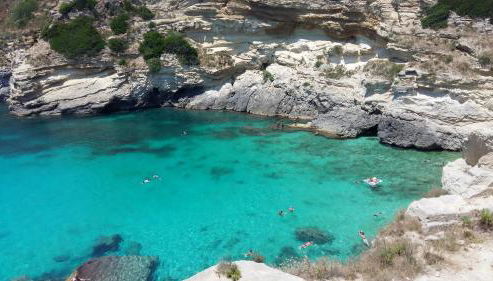 Azienda Agrituristica B&B La Torre - Foto 2