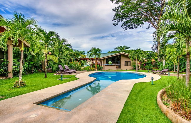 Hidden Palms Nosara - Photo 1