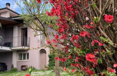 AL CLISI graziosa mansarda - Foto 1