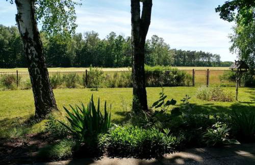 Flämingpanorama - Ländliches Gartenhaus mit Kamin und Naturpanorama - Photo 69