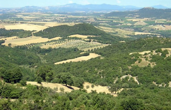 Tuscan Scenic View Stay - Foto 20