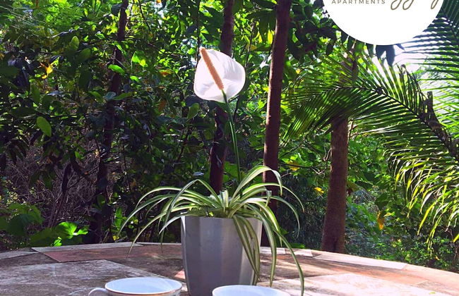 Malunggay Apartments - Foto 35