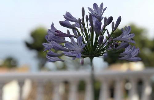 Luxury Sea Home&Terrace - Photo 8