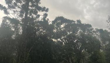 Alvorada de Maringá - Photo 2