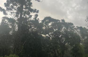 Alvorada de Maringá - Foto 2