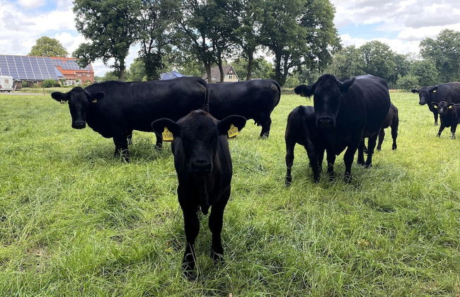 Apartment in Strackholt - Photo 25