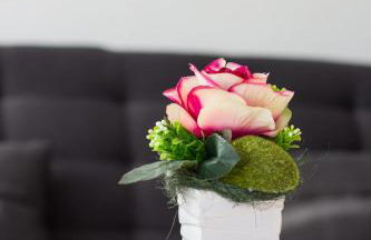 Apartment Mikic - Foto 6