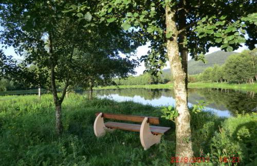 Les Gites de l étang :Studio à 20 mn de Gerardmer - Foto 32