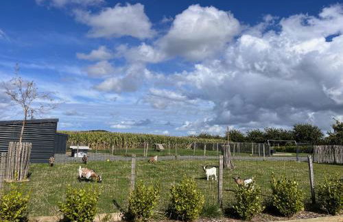 Gîte L Olivier confort, détente avec jacuzzi à 4km de la plage- Cap Fréhel - Foto 21