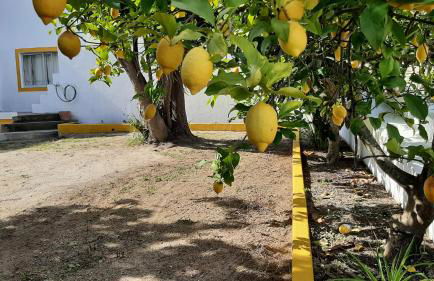 Casa da Amoreira - Barragem de Montargil - Foto 42