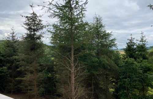 Conker Lodge with Hot Tub - Foto 8