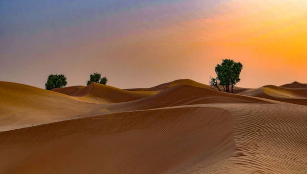 Day Trip to Ajman Desert - Foto 5