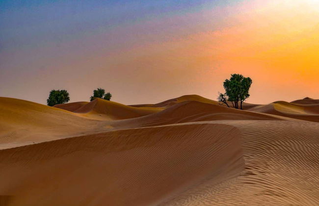 Day Trip to Ajman Desert - Foto 5