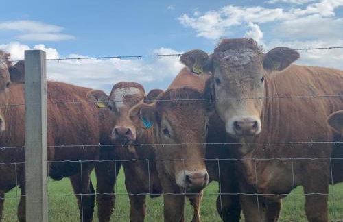 Meikle Aucheoch Holiday Cottage, plus Hot Tub, Near Maud, in the heart of Aberdeenshire - Foto 31