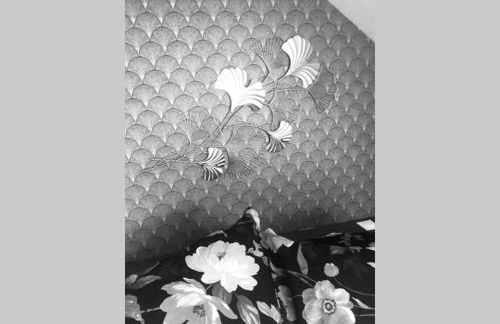 La petite Brainoise - Gîte avec salle jacuzzi 120 jets - Foto 33