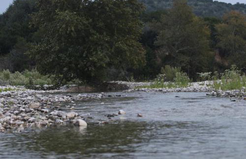 Nueces River Cabins-Elm Cabin - Foto 17